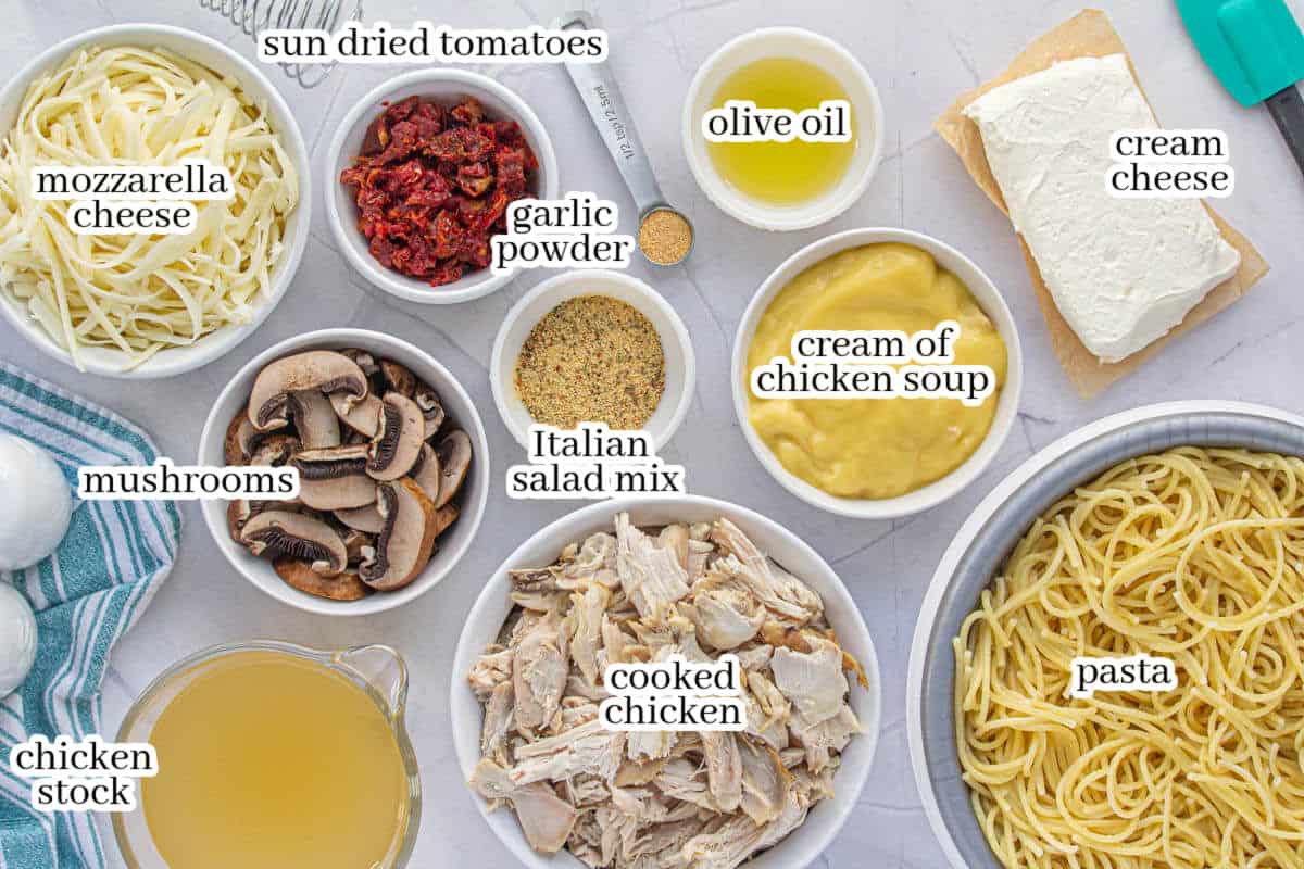 All of the ingredients ot make the chicken pasta recipe, with print overlay for clarification.