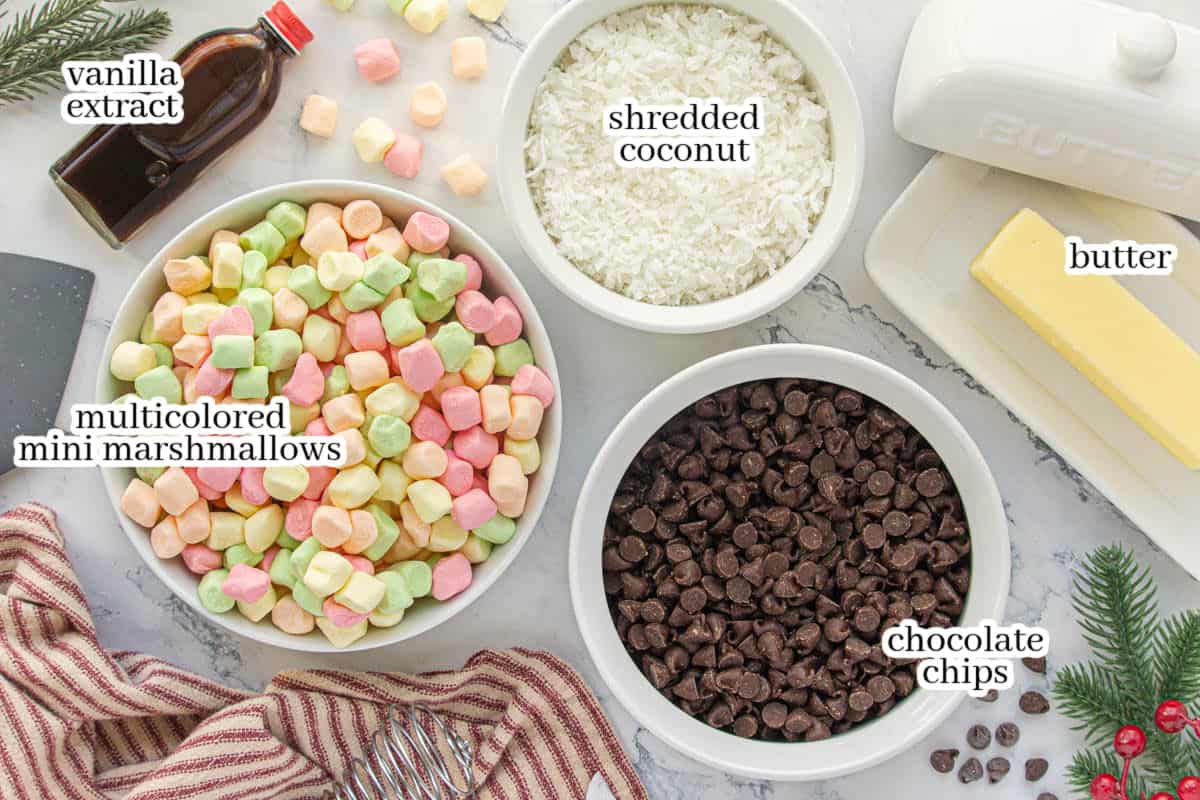 Marshmallows, chocolate chips, butter, coconut and vanilla extract. All of the ingredients to make the Cathedral Window Candy, with print overlay for clarification.
