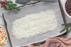 Shredded coconut spread of a sheet of parchment paper. On the side are a bowl of chocolate chips and another of multi colored mini marshmallows.