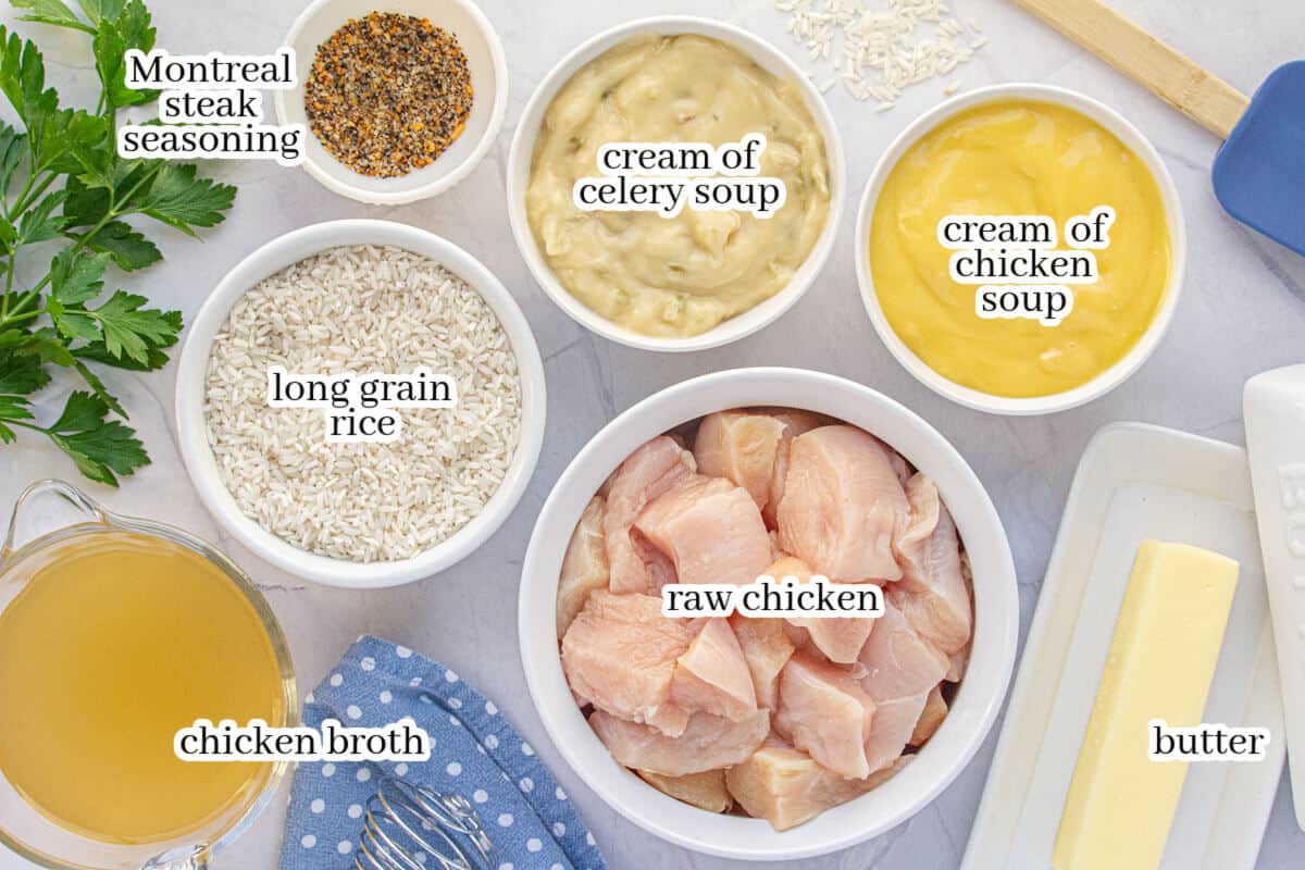 Overhead view of labeled ingredients for the casserole recipe, including long grain rice, raw chicken, cream soups, chicken broth, butter, and Montreal steak seasoning.