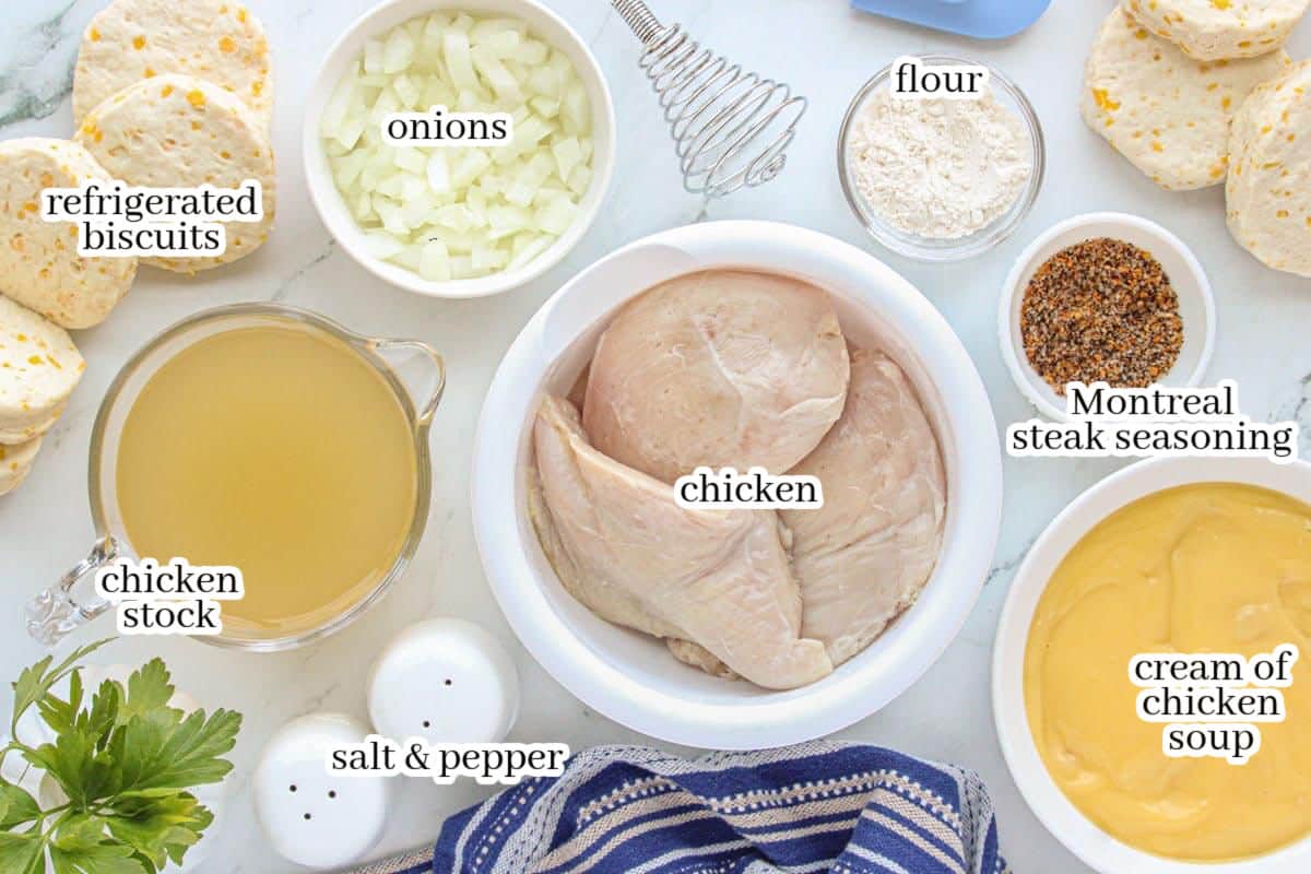 Overhead view of labeled ingredients for crockpot chicken and dumplings, including chicken breasts, onions, cream of chicken soup, refrigerated biscuits, chicken stock, flour, Montreal steak seasoning, and salt and pepper.