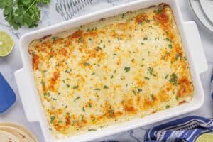 Golden brown sour cream chicken enchiladas fresh out of the oven, topped with bubbly cheese and garnished with chopped cilantro.