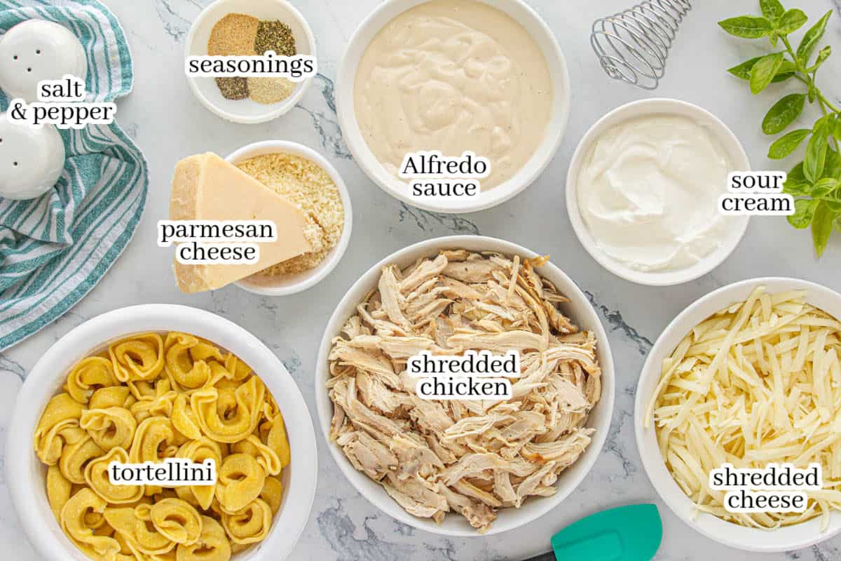 All of the ingredients for the chicken pasta casserole, with print overlay for clarification.