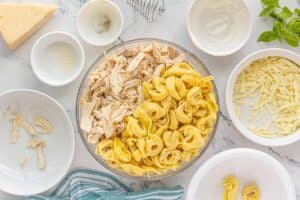 Mixing bowl with cooked cheese tortellini and shredded chicken ready to be stirred into the Alfredo mixture.