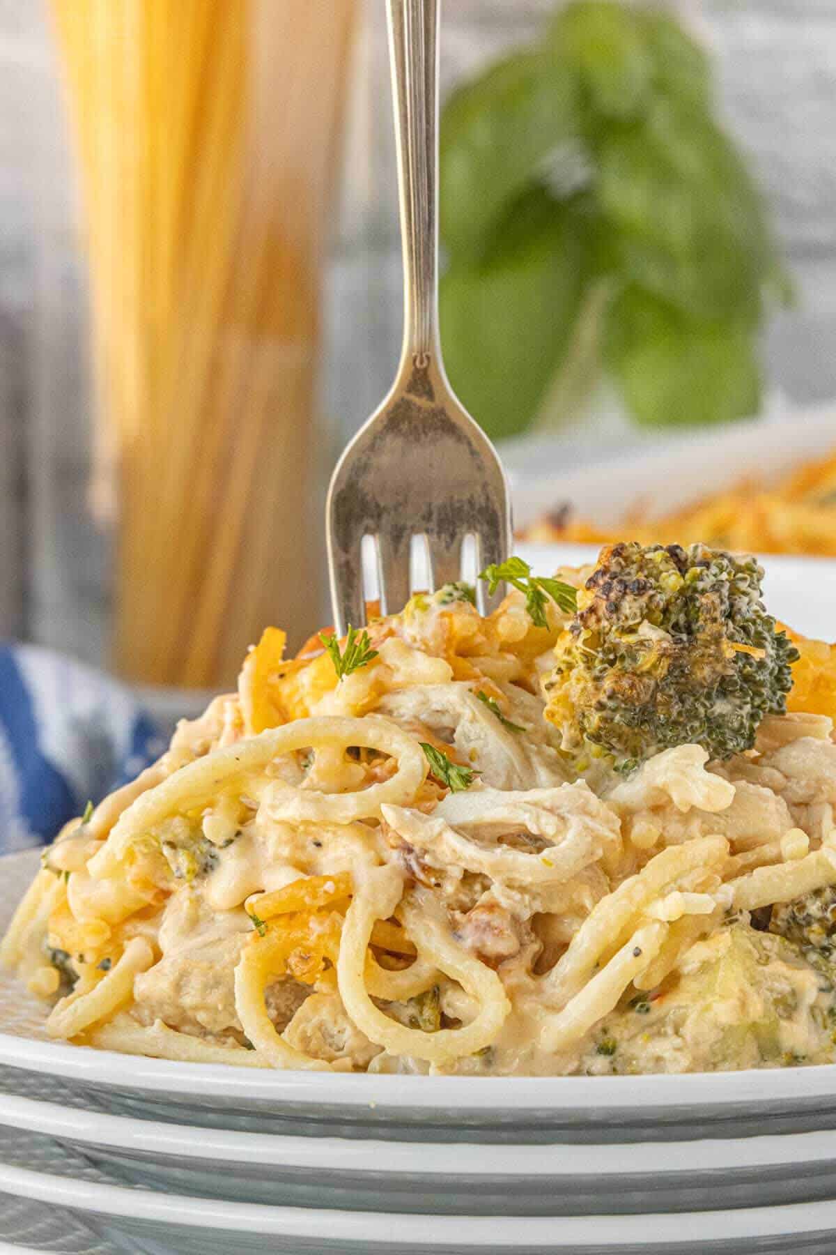 A close-up of a fork twirled into a cheesy serving of broccoli chicken spaghetti, showing tender chicken, pasta, and golden melted cheese.