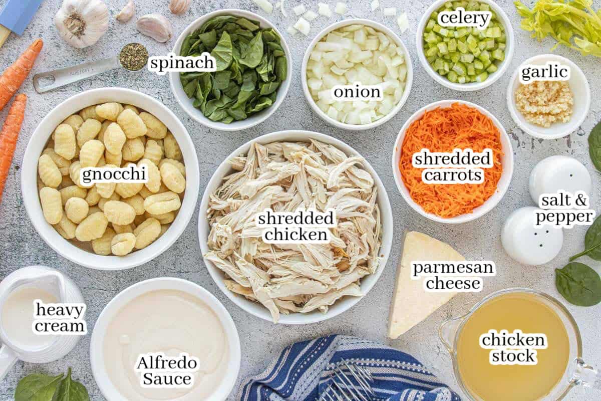 All of the ingredients to make the crockpot chicken soup recipe, with print overlay for clarification.