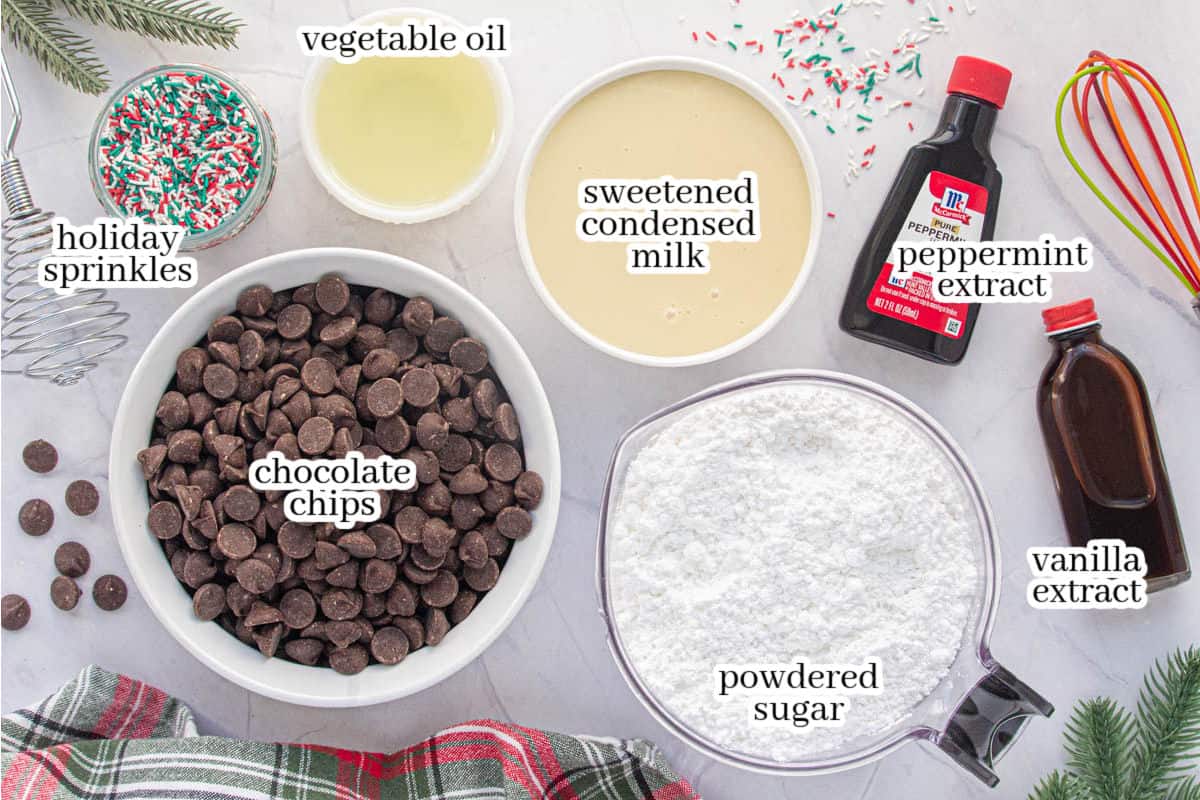 All of the ingredients to make the chocolate peppermint candy recipe. With print overlay for clarification.
