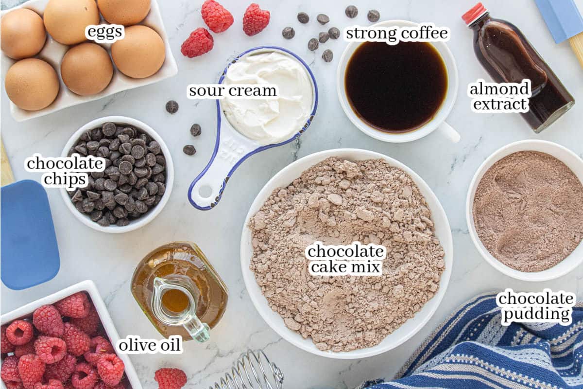 Measured ingredients for a chocolate Bundt cake arranged on a countertop, including eggs, sour cream, coffee, olive oil, chocolate cake mix, chocolate pudding and chocolate chips.