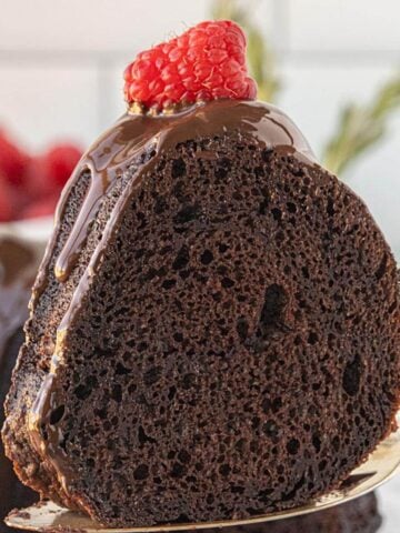 Close-up of a sliced chocolate Bundt cake showing a soft, tender crumb, on a serving spatula.