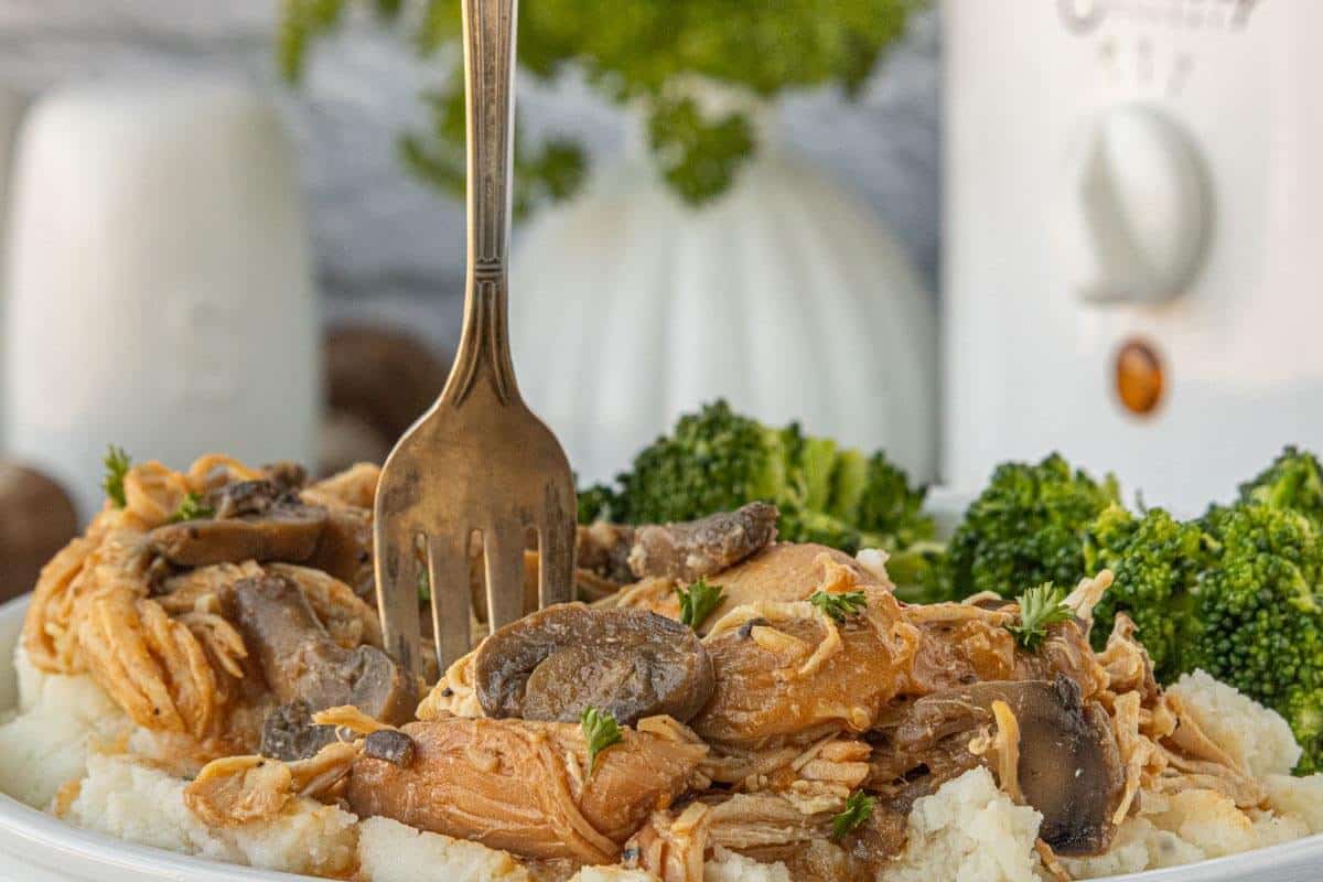 Fork lifting shredded crockpot golden mushroom chicken with mushrooms and gravy over fluffy mashed potatoes.