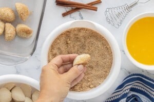 Coat a piece of dough in cinnamon sugar mixture by hand over a bowl on the countertop.