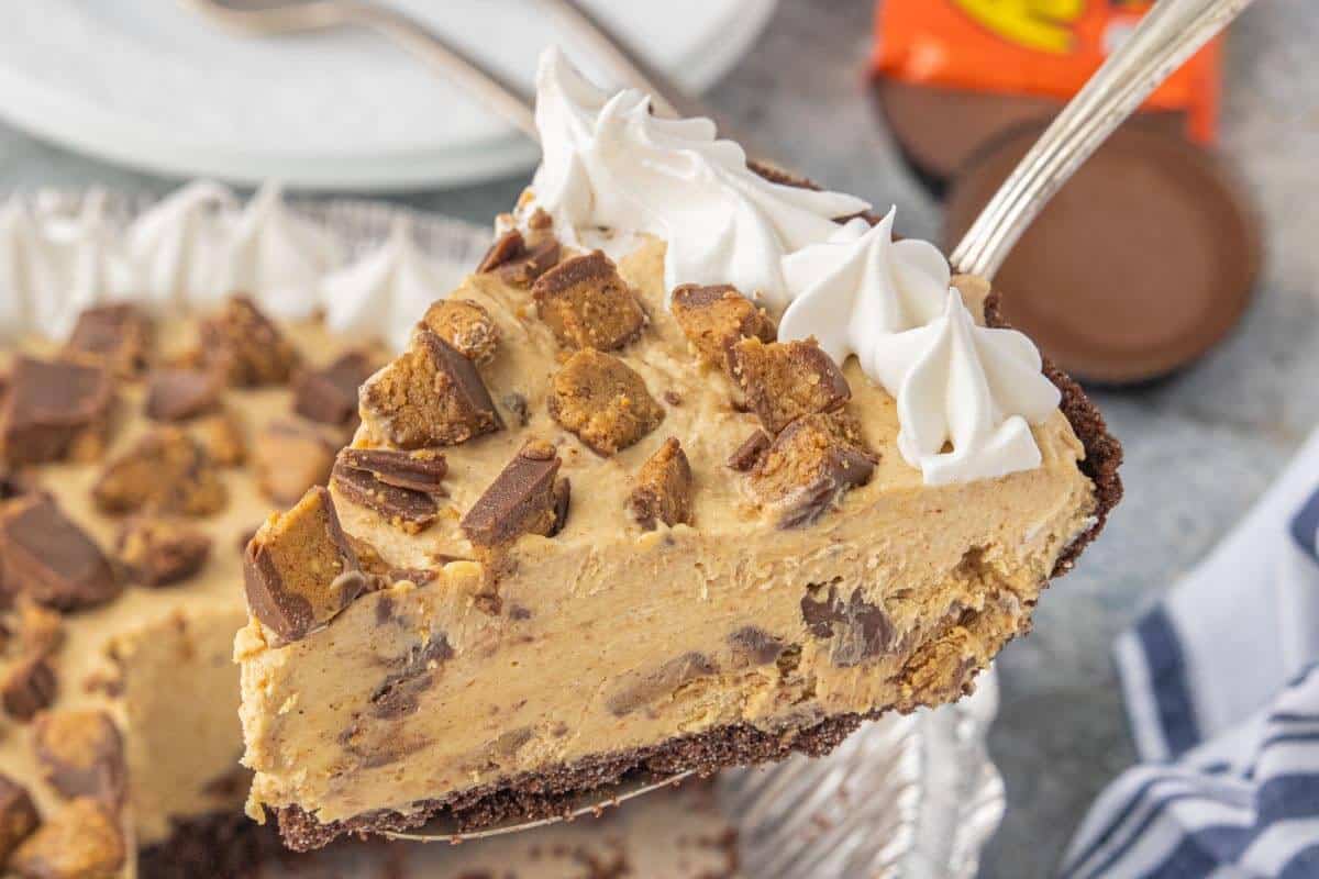 A slice of Peanut Butter Chocolate No Bake Cheesecake on a spatula with remaining cheesecake in the background.
