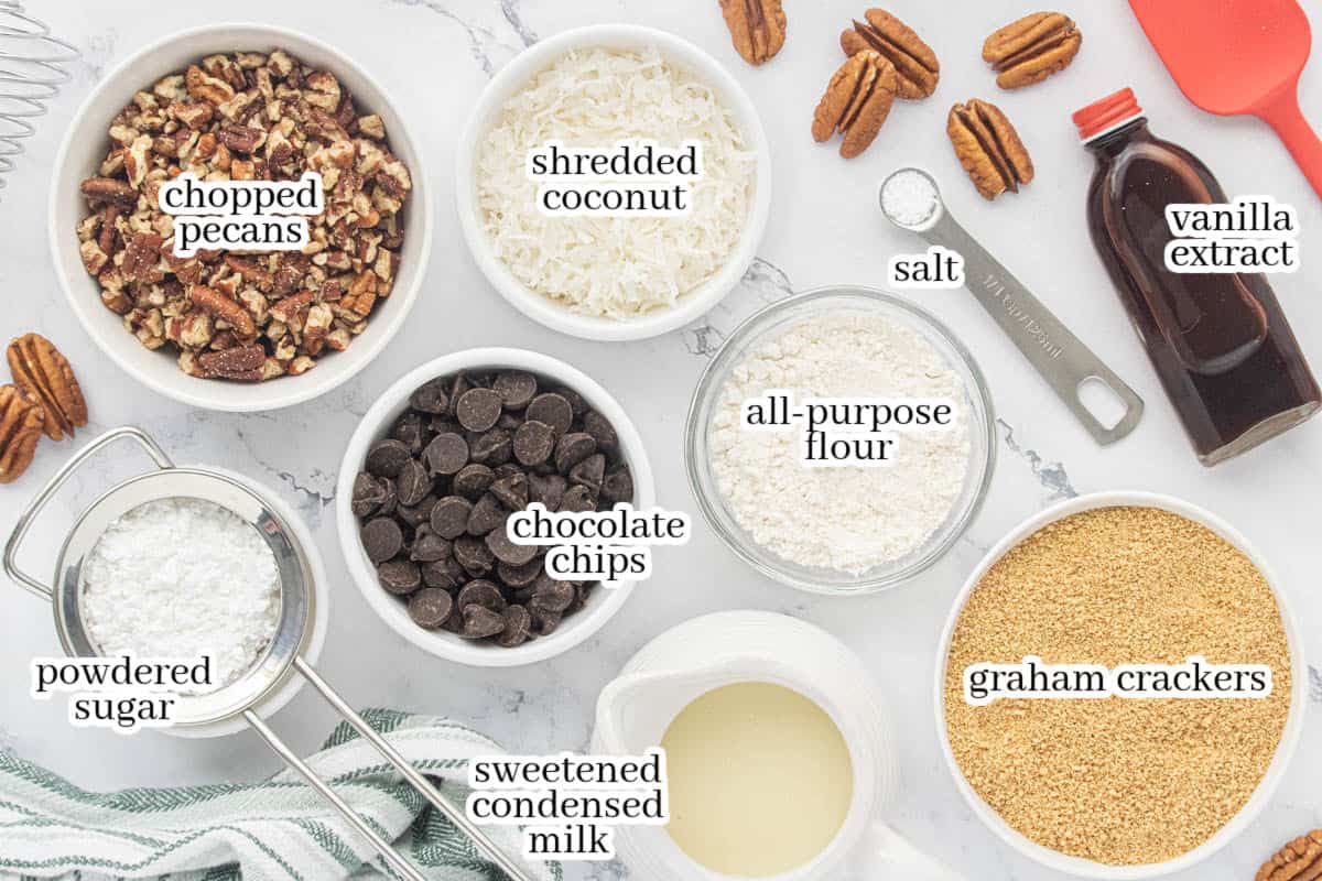 Overhead view of the ingredients for Graham Cracker Pecan Cookie Bars, including graham cracker crumbs, chopped pecans, shredded coconut, chocolate chips, sweetened condensed milk, powdered sugar, flour, vanilla extract, and salt arranged in labeled bowls.