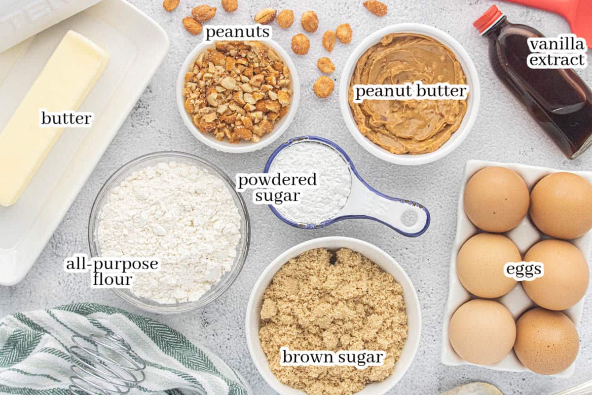 Ingredients for peanut butter blondies arranged on a countertop, including butter, brown sugar, powdered sugar, flour, eggs, vanilla extract, creamy peanut butter, and chopped honey roasted peanuts.