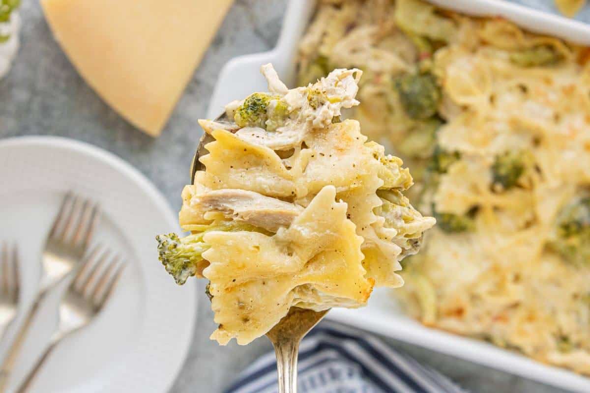 Close-up of a spoon filled with creamy chicken broccoli Alfredo casserole with bow tie pasta and melted cheese.
