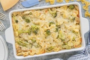 Chicken broccoli Alfredo casserole fresh from the oven with a golden, bubbly cheese topping.