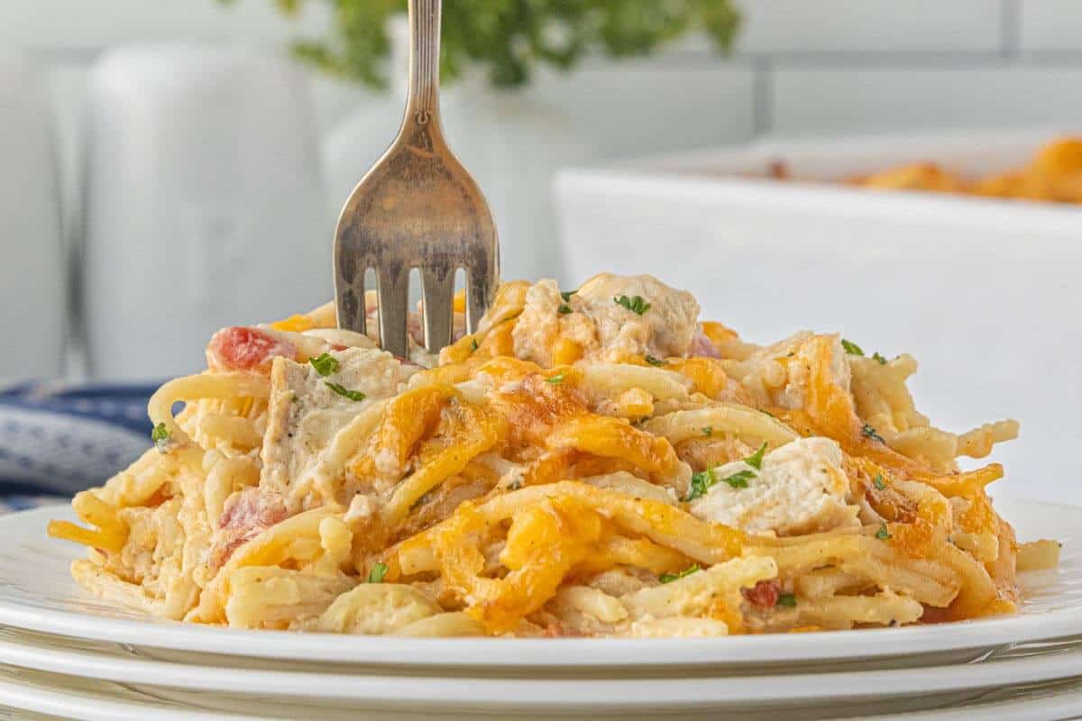 Creamy chicken spaghetti with Rotel served on a white plate with a fork ready to dig in.