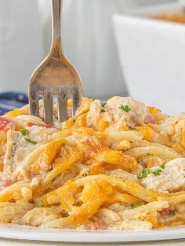 Fork stuffed into a white plate piled high with chicken spaghetti.