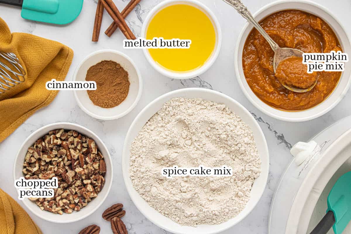Ingredients for Crockpot Pumpkin Dump Cake including spice cake mix, pumpkin pie mix, melted butter, cinnamon and chopped pecans.