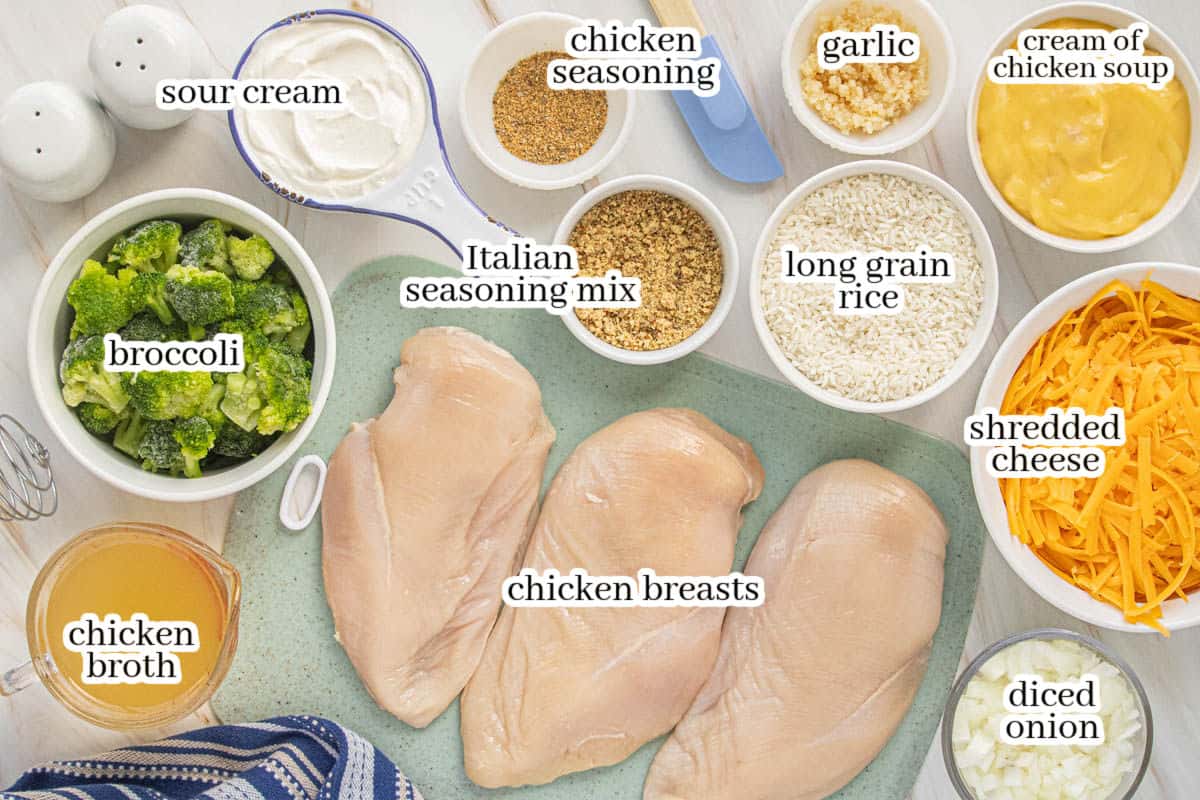 Ingredients for Crockpot Chicken and Rice including chicken breasts, long-grain rice, broccoli, cheddar cheese, sour cream, cream of chicken soup, broth, onion, garlic, and seasonings.