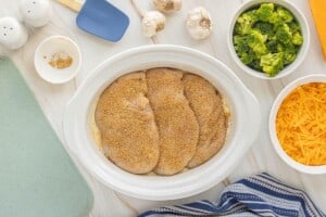 Seasoned chicken breasts arranged over the creamy rice mixture in a white slow cooker.