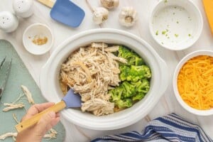 Shredded chicken and broccoli florets being added to the cooked rice mixture in the slow cooker.