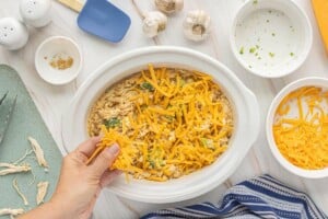 Shredded cheddar cheese being sprinkled over Crockpot Chicken and Rice with Broccoli before the final cooking time.