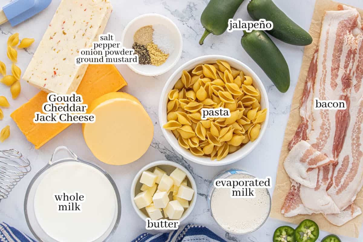 Overhead view of ingredients for Crockpot Bacon Jalapeño Mac and Cheese, including shell pasta, bacon, fresh jalapeños, Gouda, cheddar, pepper jack cheese, whole milk, evaporated milk, butter, and seasonings.