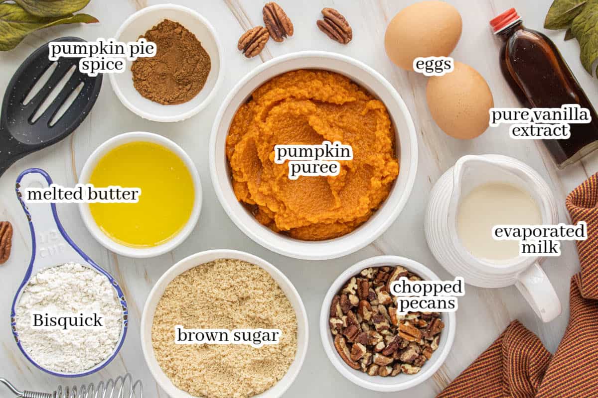 Overhead view of ingredients for pumpkin pie pudding, including pumpkin puree, evaporated milk, brown sugar, eggs, Bisquick, melted butter, vanilla extract, pumpkin pie spice, and chopped pecans.