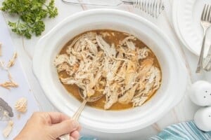 Overhead view of cooked turkey shredded into pieces and returned to the crockpot with gravy.