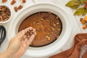Chopped toasted pecans being sprinkled over the finished pumpkin dessert in the slow cooker.